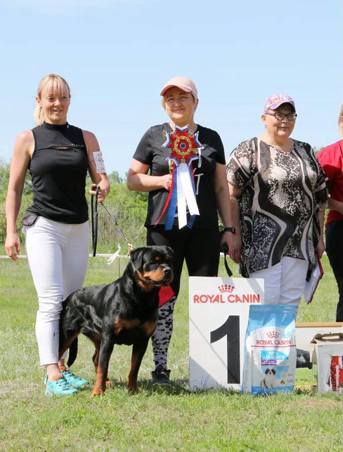 188926848_4116738825027848_2078248338572979072_n 188926848_4116738825027848_2078248338572979072_n