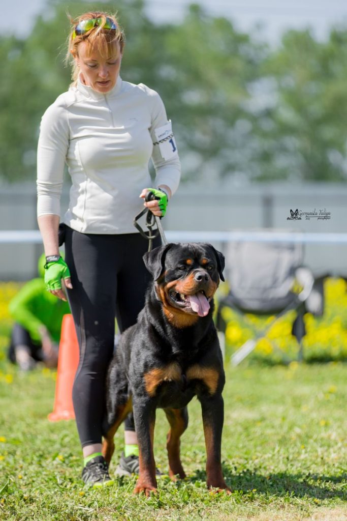 IMG_0143 IMG_0143